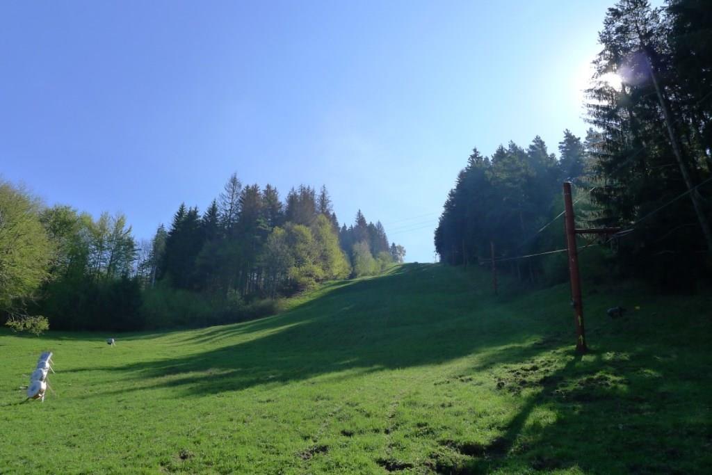2016-04-30_Teplicska-25ka_P1100466_r