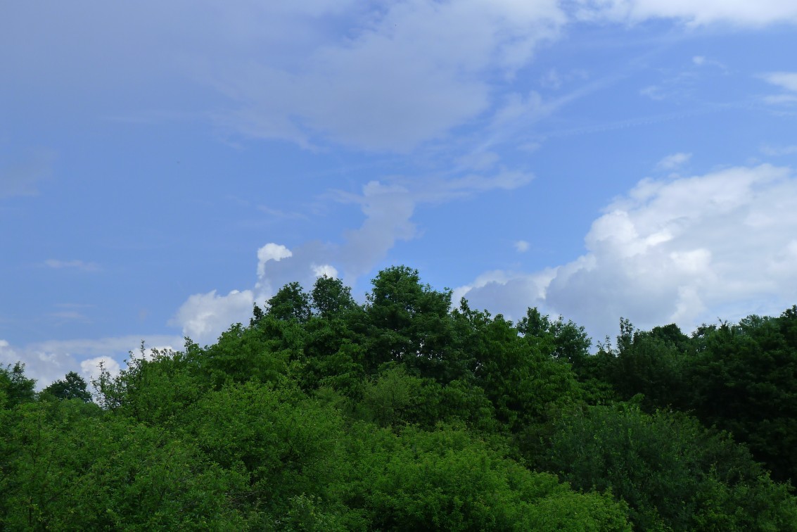 2016-06-04_SP-6kolo-Ostra-Luka(Zvolen)_P1100750_r