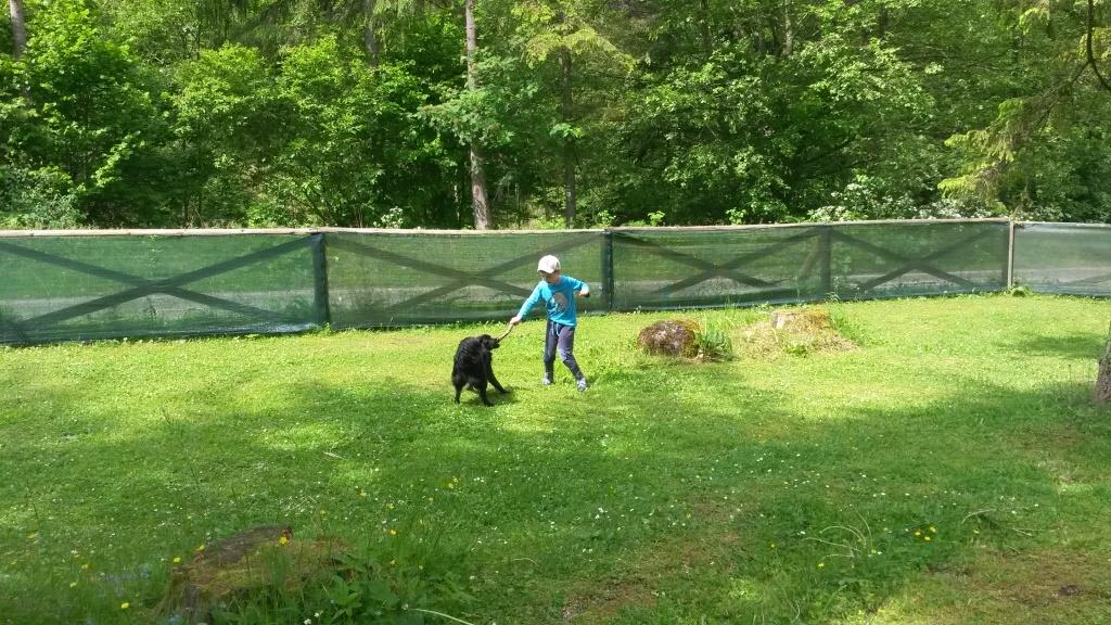 20160605_104914(0)