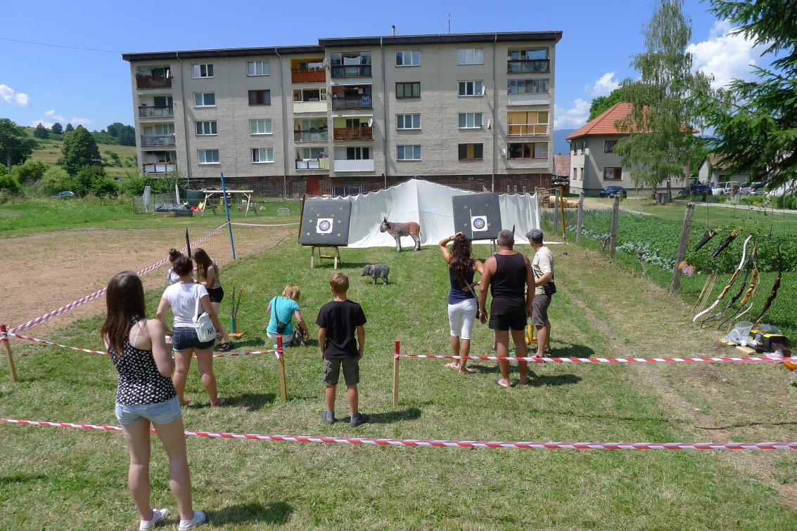2016-07-02_Medobranie-Necpaly_P1110015_r
