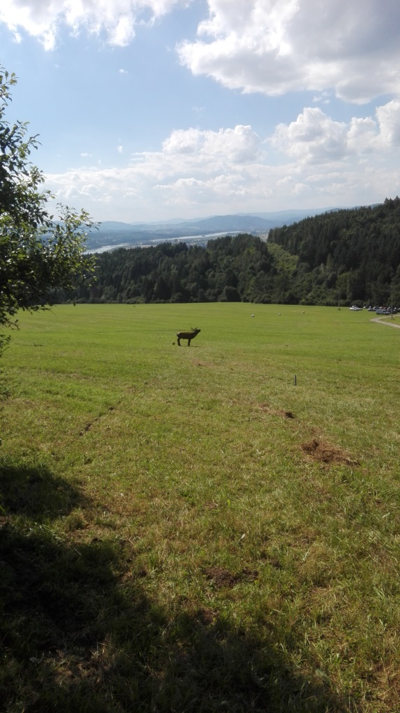 IMG_20160730_153935