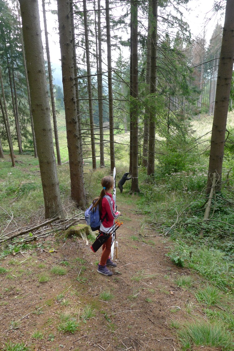 2016-09-2425_msr-3d-2016-varin_p1120131_r