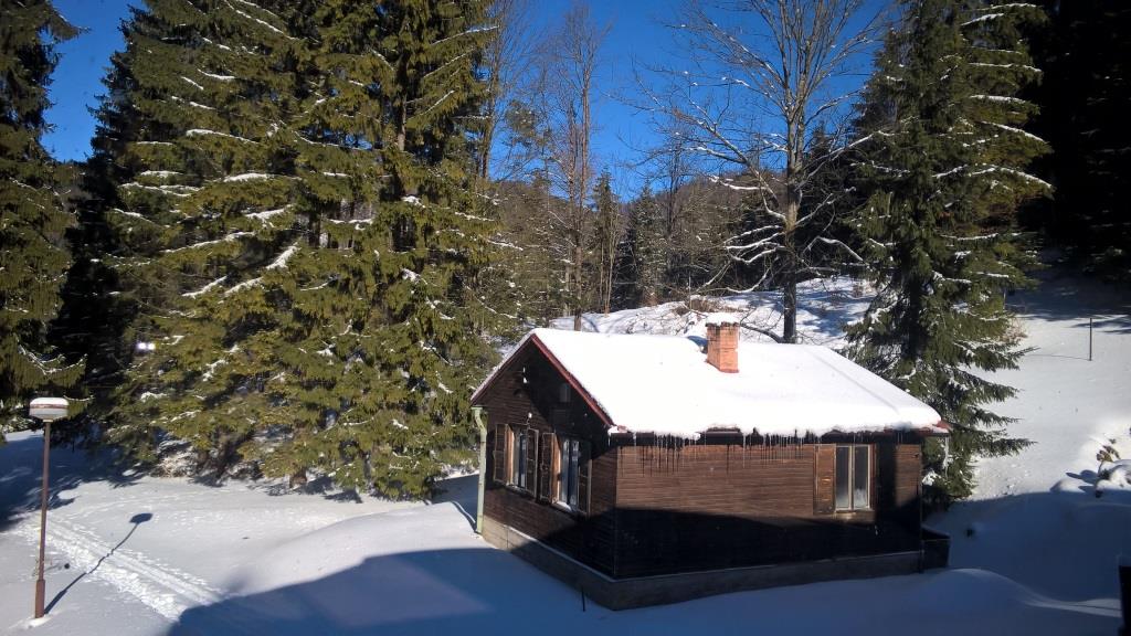 WP_20170120_11_58_50_Pro